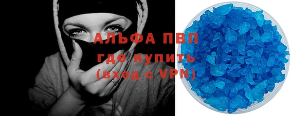 прущие грибы Михайловка