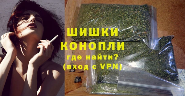 прущие грибы Михайловка