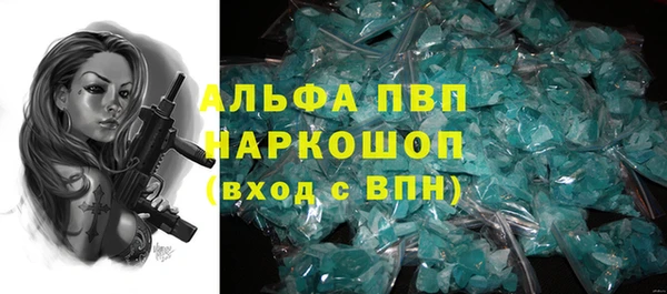 стафф Михайловск