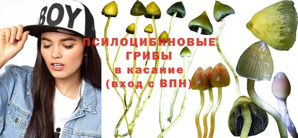 apvp Арсеньев